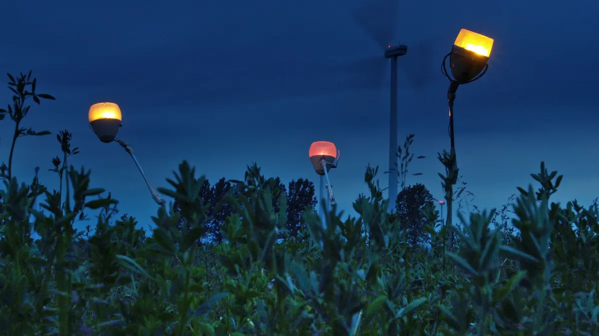 Kunst Loose Tage 2006, "Windkraft treibt selrsame Blüten" - Egon Kurth, Warten im Oderbruch - Stefan Schick