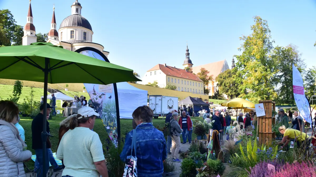 Neuzelle. Klostergartentag 2025. Foto vom 27.09.2025. Foto: Raja Mainz - Pressefoto