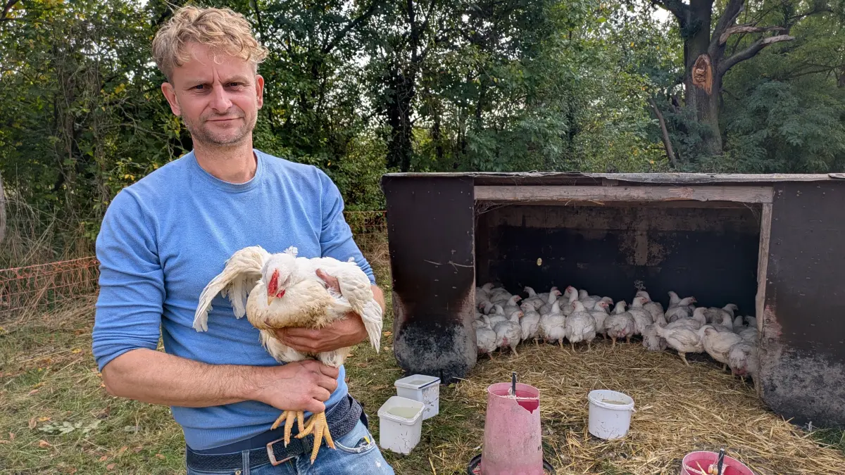 Landwirt Hans-Christoph Peters aus Werneuchen/Altlandsberg mit einem Masthähnchen (Broiler) auf dem Arm, 23.9.27