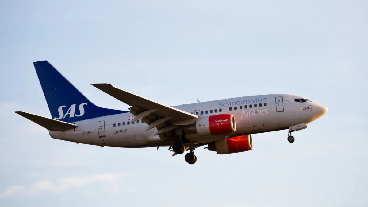 Ein Airbus der Luftfahrtgesellschaft Scandinavian Airlines SAS im Landeanflug. Ein Flieger aus Kopenhagen ist am Mittwoch trotz Drohnensperrung am Flughafen BER gelandet. (Symbolbild)