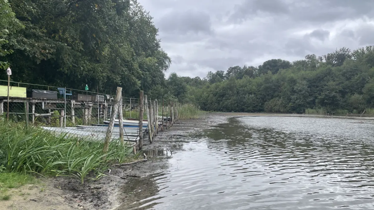 Schlammflächen ziehen sich zwischen den Bootsstegen entlang. Wo das Wasser zurückweicht, verändern sich auch die Bedingungen für Bäume und andere Pflanzen am Ufer.