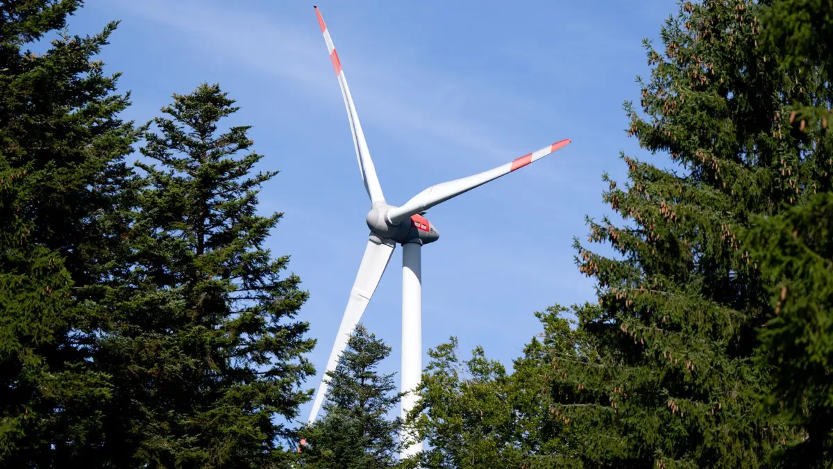 Windkraft: ARCHIV - 03.09.2025, Bayern, Berg: Ein Windrad ist während der Vorstellung von einem Pilotprojekt für die Begrünung von Windenergiestandorten zu sehen. (zu dpa: «Gericht: Windenergie-Regionalplan unwirksam») Foto: Sven Hoppe/dpa +++ dpa-Bildfunk +++