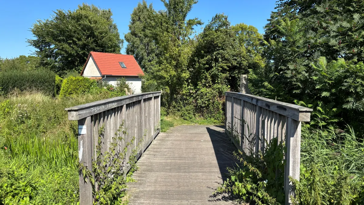 Der Mudrowgraben in Angermünde gehört zu den wichtigsten Entwässerungssystemen in Angermünde. Er ist teilweise verrohrt und stark sanierungsbedürftig. Er verläuft durch das geplante neue Wohnquartier "Urbane Gartenstadt" und entwässert in den Mündesee.