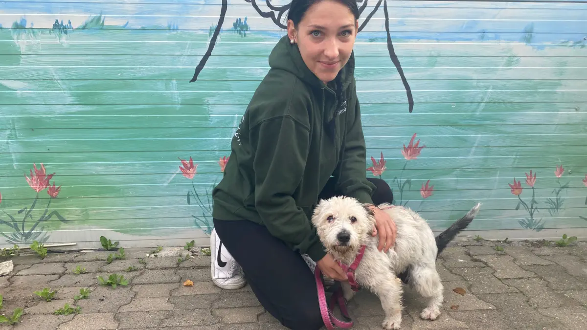 Der Tötungsstation in Rumänien entkommen: Der fünfjährige Mischlingshund Lola wartet in Alinas Tierheim in Eisenhüttenstadt hier mit Mitarbeiterin Sandra Hartwig auf ein neues Zuhause.