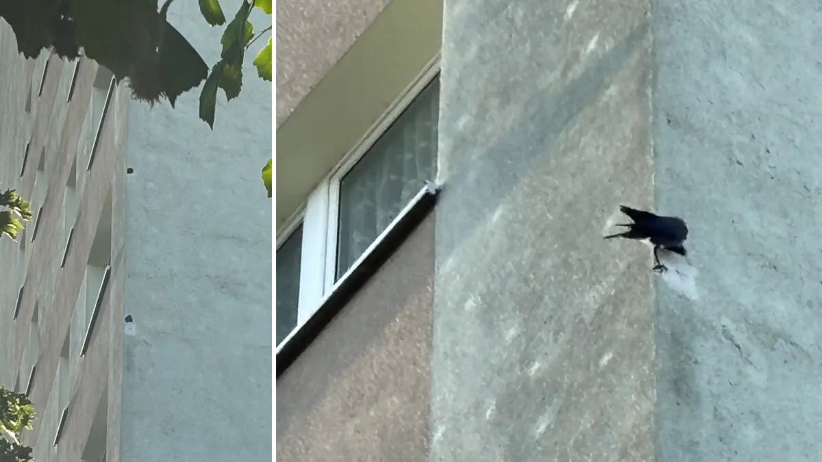 Löcher in der Fassade eines Hochhauses in Eisenhüttenstadt