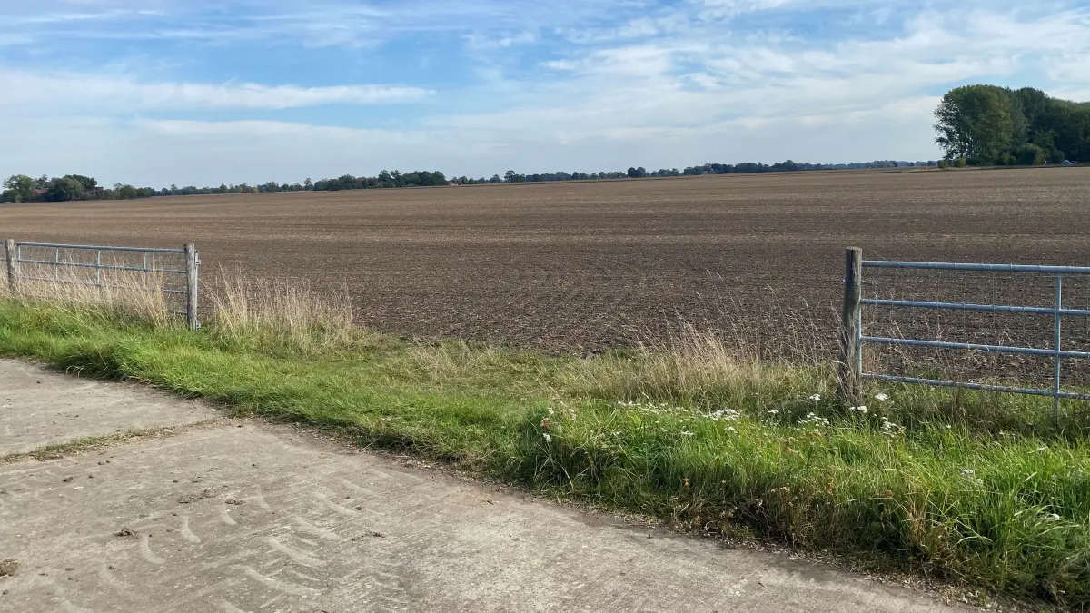 ASP-Zaun mit offenem Tor zwischen Zechin und Letschin