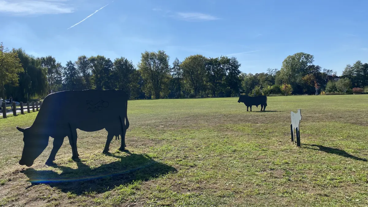 Die Bullenwiese in Fürstenwalde liegt im Zentrum an der Spree. Nach einer AfD-Veranstaltung ist das Areal von der Stadt vorsorglich gesperrt worden.