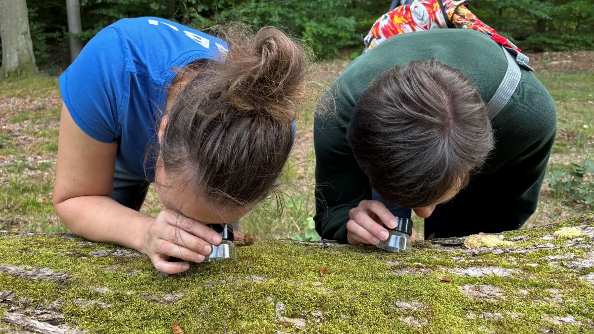 Abenteuer Wald: Was versteckt sich in der Baumrinde? In Angermünde kann man Natur unmittelbar und auf spannende Weise entdecken. Die Stadt hat mit Partnern attraktive neue Angebote für Naturerlebnisse und Umweltbildung für Schulen, Kitas und Familien entwickelt.