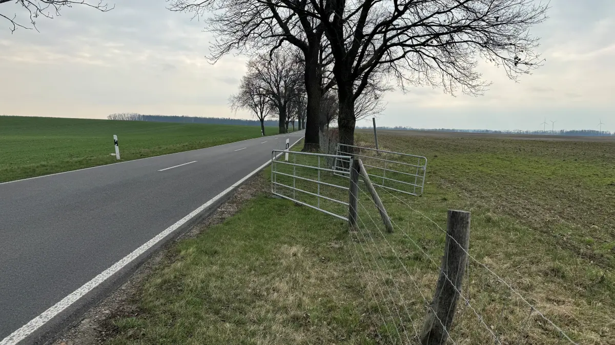 ASP-Schutzzaun: Offene Tore, wie hier bei Neuhardenberg, sind an der Tagesordnung. Was der Landkreis Märkisch-Oderland dazu sagt.