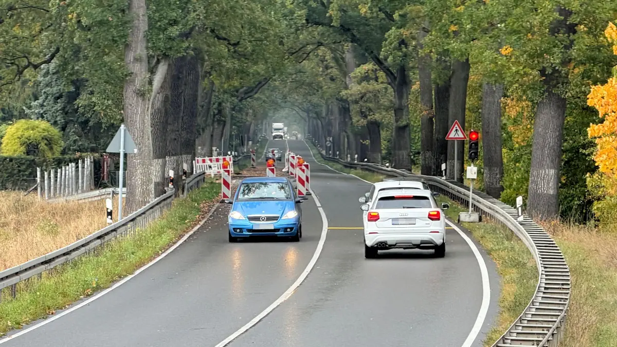 Eine Baustellenampel bremst derzeit den Verkehr auf der B1 westlich von Müncheberg aus. Eine weitere steht im Bereich von Heidekrug. Was der Grund dafür ist und wann es wieder freie Fahrt gibt.