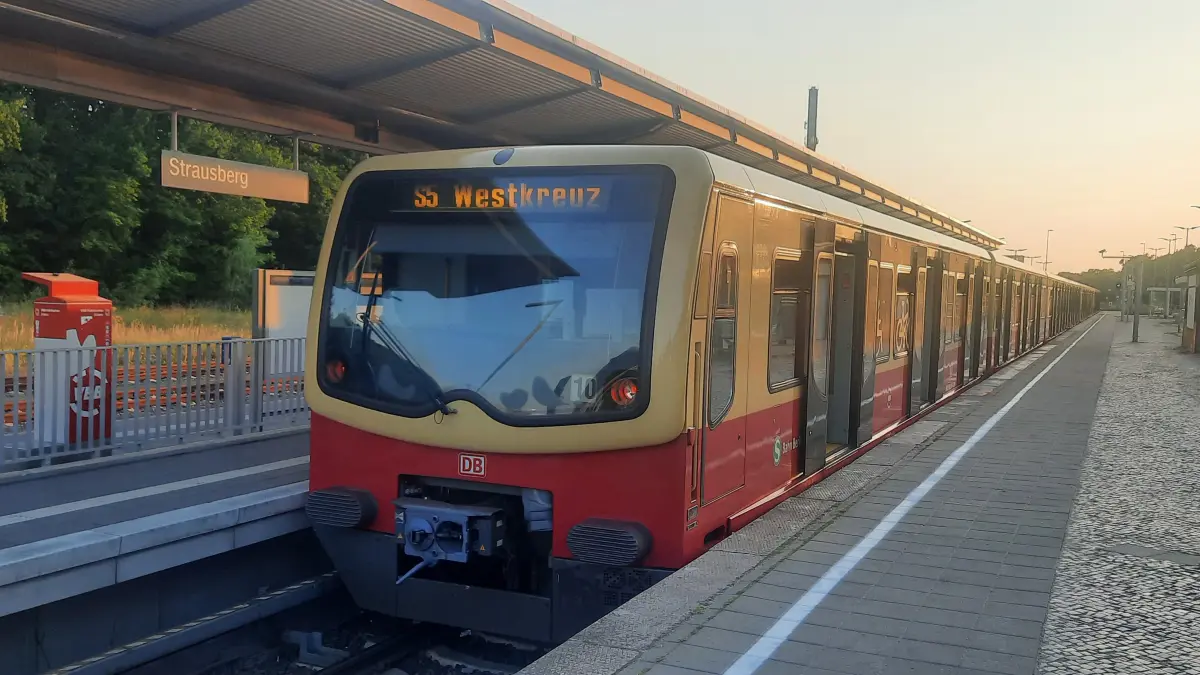 Dass es auf der S-Bahnstrecke S5 viele Probleme gibt, ist nicht neu. Die Auswertung der Petition erlaubt nun ein sehr differenziertes Bild, welche Ärgernisse prioritär anzugehen sind.