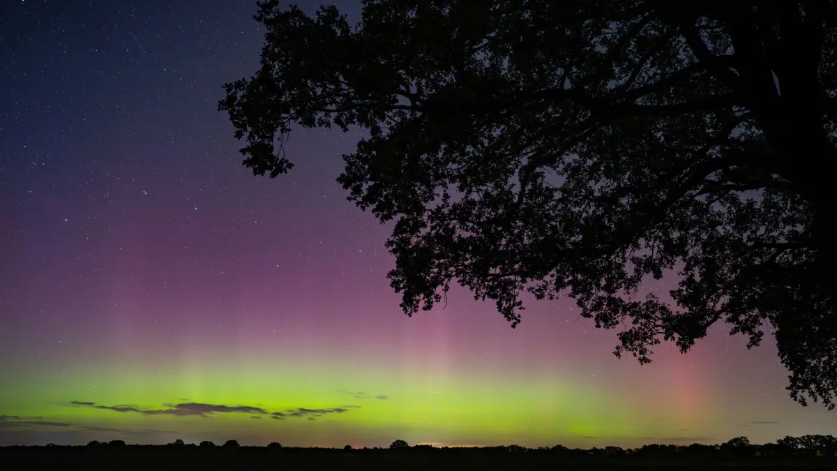 Polarlichter über Deutschland: 10.10.2026, Brandenburg, Petersdorf: Polarlichter leuchten am Nachthimmel über der Landschaft im östlichen Brandenburg. Dieses Nordlicht (Aurora borealis) wurden durch eine Wolke elektrisch geladener Teilchen eines Sonnensturms in der Erdatmosphäre erzeugt. Foto: Patrick Pleul/dpa +++ dpa-Bildfunk +++