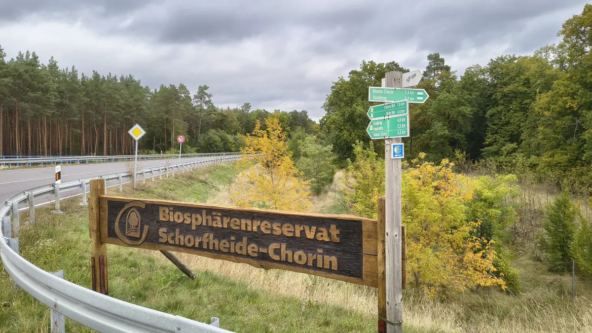 Welchen Weg wird das Biosphärenreservat Schorfheide-Chorin nehmen? Am Mittwoch (14.10.) wird es neue Erkenntnisse geben.