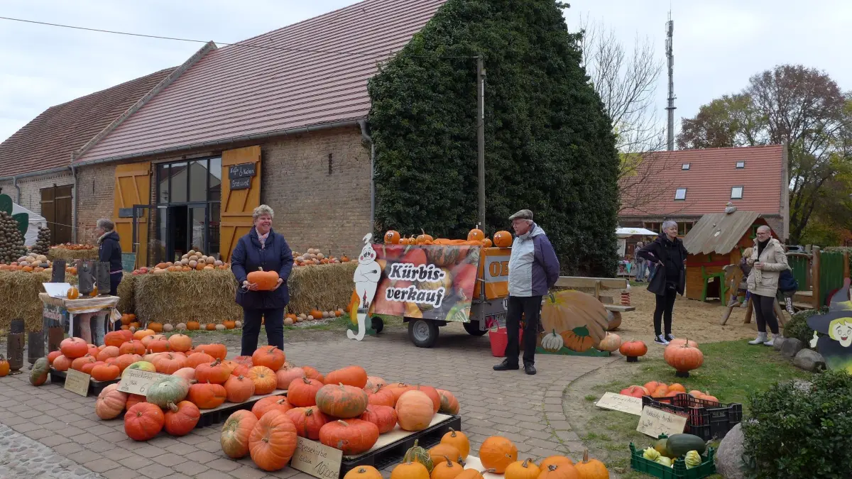 Kürbisse in allen Formen und zahlreichen Farben, wie hier im vergangenen Jahr, dominieren das Bild am 17./ und 18. Oktober im Kremmener Scheunenviertel.