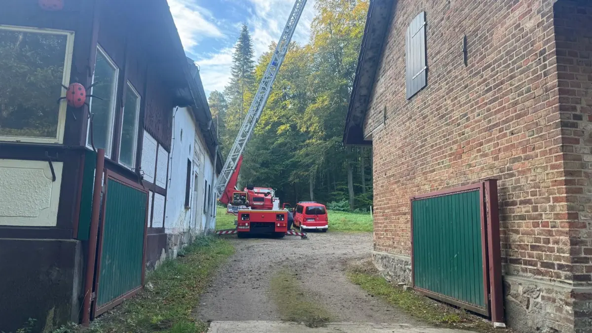 Im Stadtwald von Frankfurt (Oder) in der Nähe des Ortsteils Booßen suchen die Feuerwehr und die Polizei nach einer vermissten Person. Diese ist nach einem Spaziergang am Sonntag nicht mehr nach Hause zurückgekehrt.