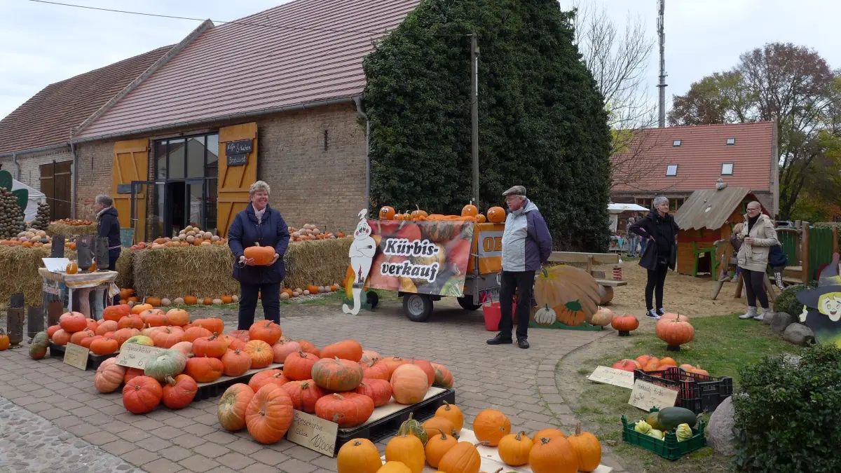 Kürbisse in allen Formen und zahlreichen Farben, wie hier im vergangenen Jahr, dominieren das Bild am 17./ und 18. Oktober im Kremmener Scheunenviertel.