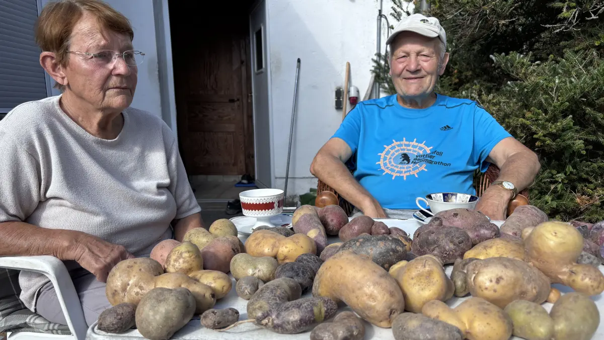 Kartoffeln aller Formen und Farben: Elfgart Turowski und Henning Höhne aus Gabow (Schiffmühle) bei Bad Freienwalde präsentieren eine Auswahl ihrer Ernte.