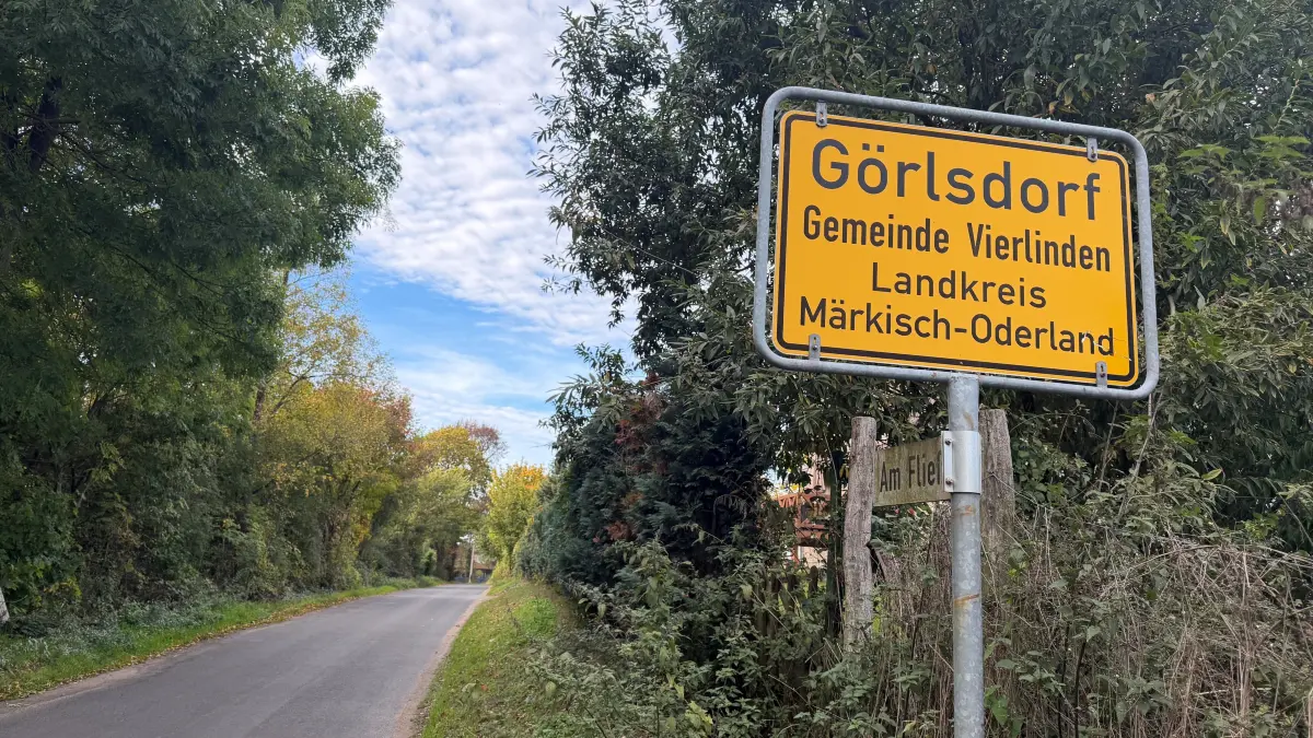 In Görlsdorf in der Gemeinde Vierlinden entdeckte eine Spaziergängerin in einem Waldstück einen aufgebrochenen Tresor.