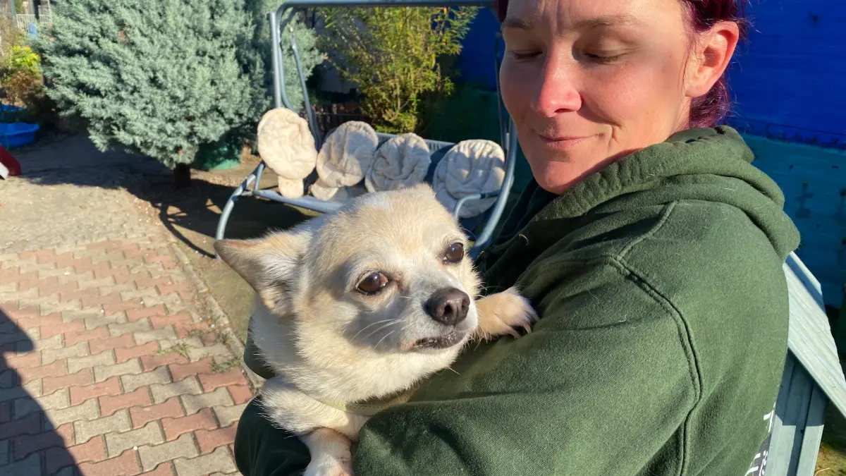 Sucht ein neues Zuhause: der Chihuahua-Mischling Pepe. Tierheimmitarbeiterin Kathleen Bonack präsentiert den zehnjährigen freundlichen Rüden.
