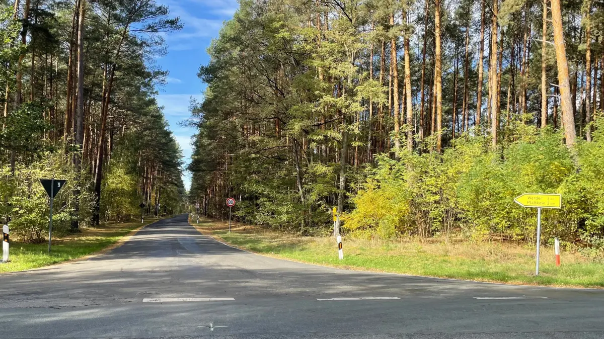 Unweit von Kossenblatt (Tauche, Oder-Spree) in südlicher Richtung auf der Landesstraße L443 zweigt die K6118 nach Plattkow ab. In den nächsten Wochen soll sie wegen Fahrbahnarbeiten voll gesperrt werden.