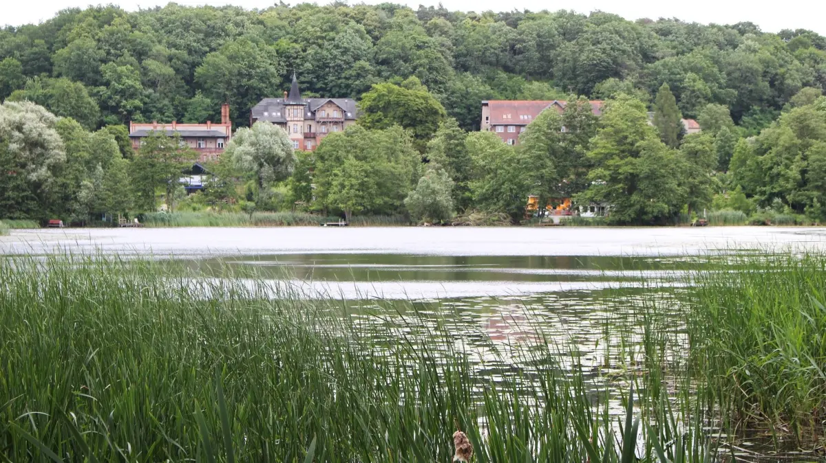 Blick über den Griepensee in Buckow: Dort wird für private Stege bisher gar keine Pacht erhoben. Das soll nun ändern. Wie als einheitliche Berechnungsgrundlage geplant ist.