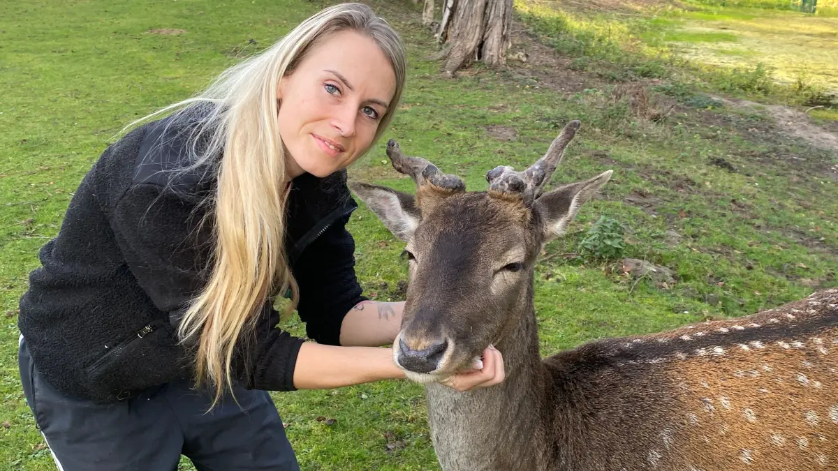 Tierheimleiterin Jana Feister mit Damhirsch Norbert: Er wurde als junges Kalb vor sieben Jahren aufgenommen.