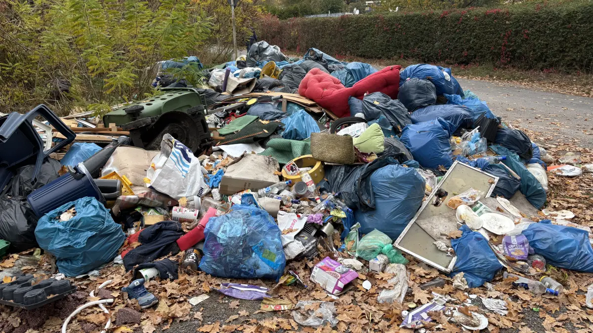 Am Abzweig Neuzeller Landweg/Diehloer Berge in Eisenhüttenstadt ist eine große Müllkippe entstanden. Wann wird sie beseitigt?