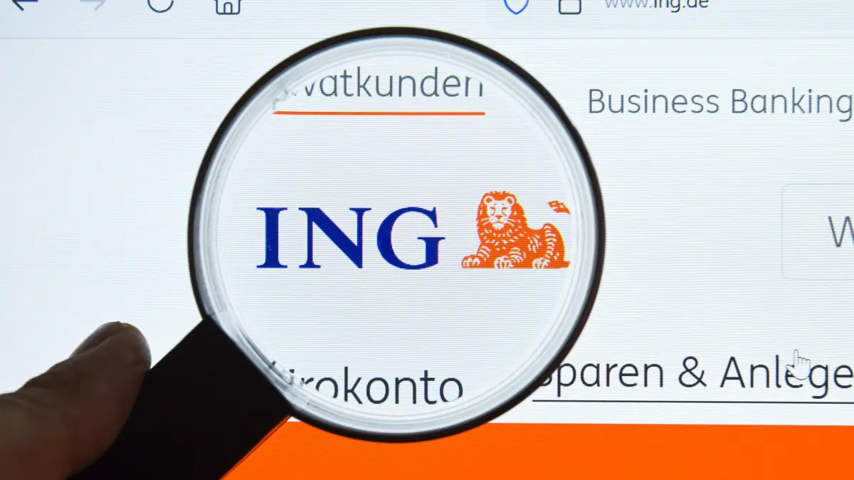 www.ing.de, website, Internet, Lupe, Monitor *** www ing de, website, internet, magnifying glass, monitor