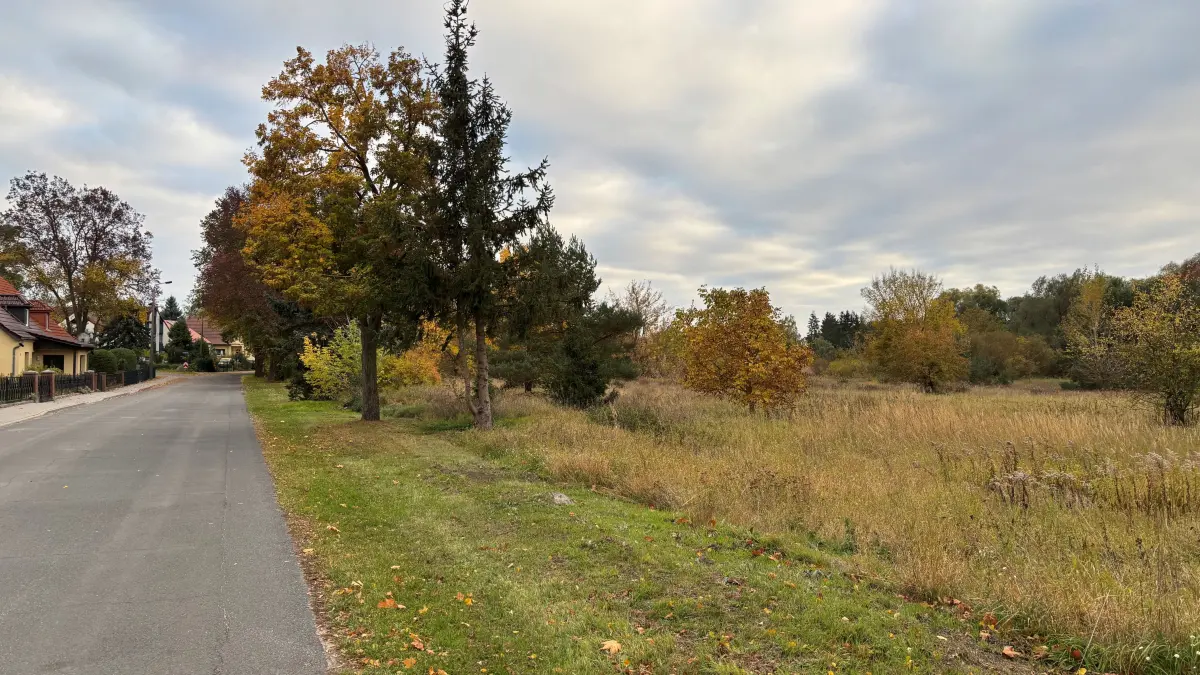 Die Stadt Angermünde schafft Platz zum Bauen. Am Mudrowweg solle eine Grünfläche in Bauland für Eigenheime umgewandelt werden.