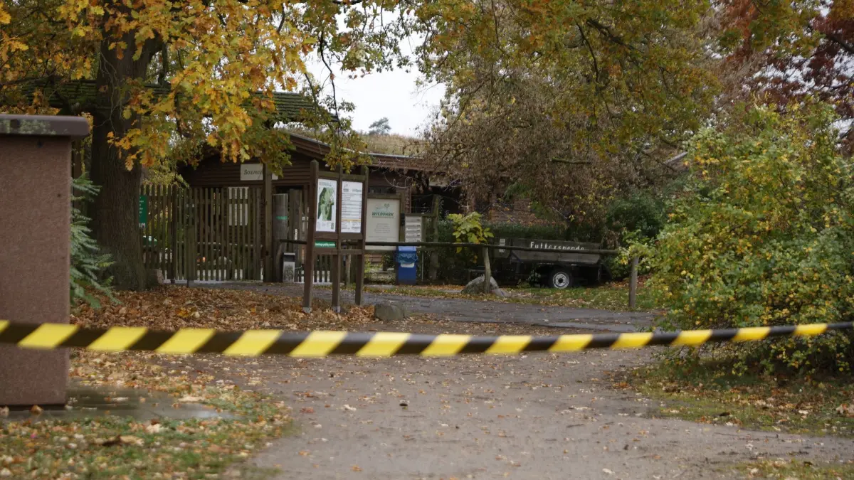 Wolf soll Kind im Wildpark Johannismühle angegriffen haben: Ein Flatterband sperrt einen Bereich des Wildparks Johannismühle. Ein Kind ist bei der Attacke eines oder mehrerer Tiere im brandenburgischen Wildpark Johannismühle schwer verletzt worden. (zu dpa: «Polizei: Wolf greift Mädchen in Wildpark an»)