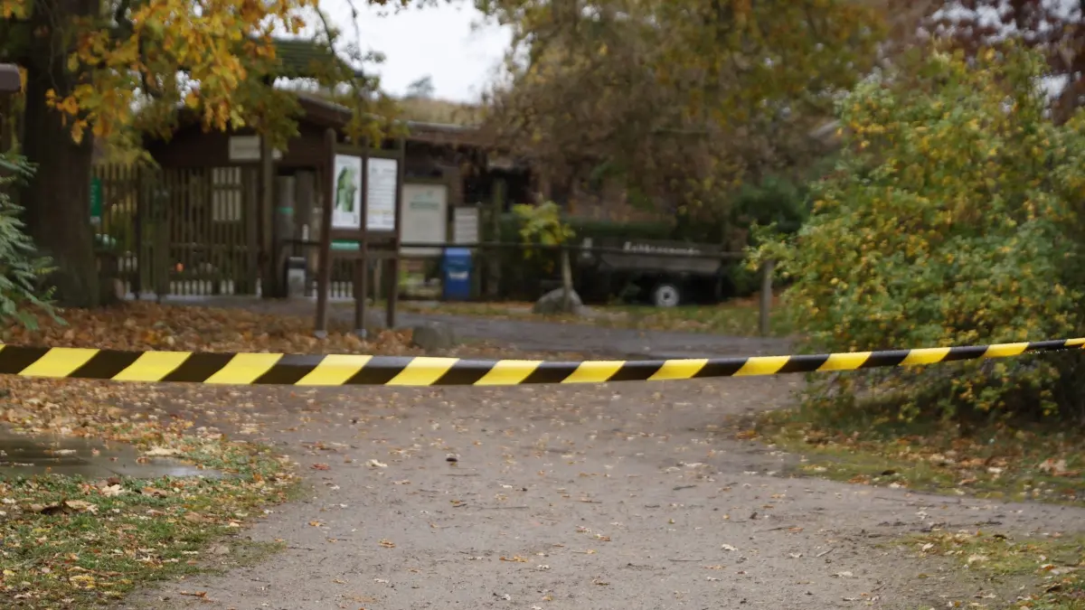 Wolf soll Kind im Wildpark Johannismühle angegriffen haben: Ein Flatterband sperrt einen Bereich des Wildparks Johannismühle. Ein Kind ist bei der Attacke eines oder mehrerer Tiere im brandenburgischen Wildpark Johannismühle schwer verletzt worden. (zu dpa: «Wolfsattacke im Wildpark: Achtjährige schwer verletzt»)