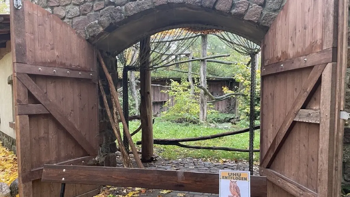 Die Ezulenburg im Heimattiergarten von Fürstenwalde: Am Montag entkam hier ein Uhu-Weibchen.