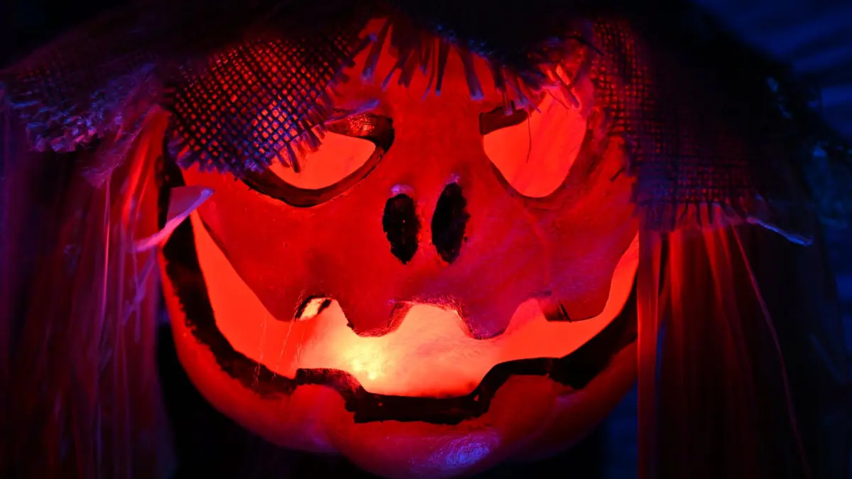 Halloween: Gruselige Dekoration leuchtet in einem Halloween-Garten. (zu dpa: «Gruselgarten bis Geisterparty - Halloween-Tipps für Sachsen»)